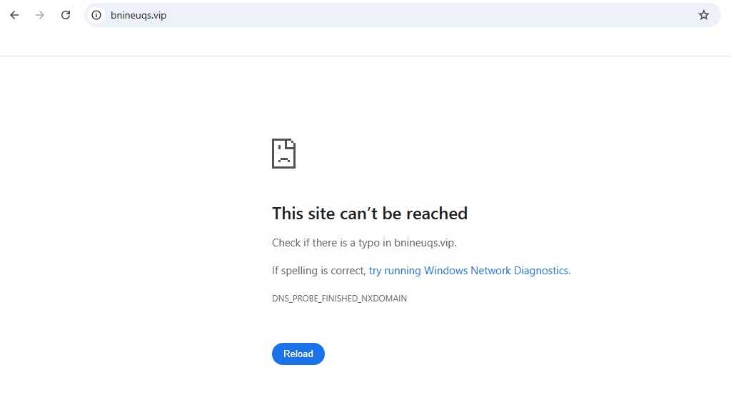 Bnineuqs.vip Website